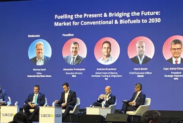 <span>Navigating the Transition to Low- and Zero-Carbon Marine Fuels</span>
